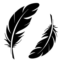 Obraz premium vector illustration of feather