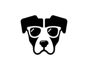 Flat dog in professional sunglasses style