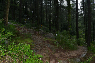 Dharamshala – The Peaceful Abode of Mountains, Monasteries, and Tibetan Spirit

