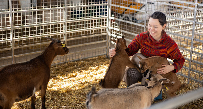 Portrait of cheerful casual adult woman playing with cute goatlings in petting zoo stall on sunny day..