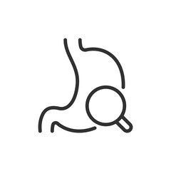 Stomach with magnifying glass, linear icon. Examination, diagnostics, or gastro inspection. Line with editable stroke.