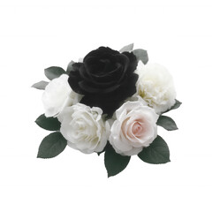 Fototapeta premium A beautiful arrangement of roses in shades of black, white, and soft pink, surrounded by green leaves on a white isolated background.