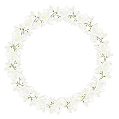 Jasmine white flower watercolor round frame. Hand drawn bud delicate in the shape of a heart. Clip art botanical on white background. Ideal for logo of tea and aromatic products from jasmine