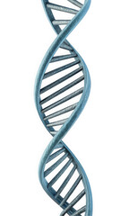 A captivating 3D representation of a DNA double helix, showcasing its intricate structure with a blue and silver color palette that highlights its scientific significance.