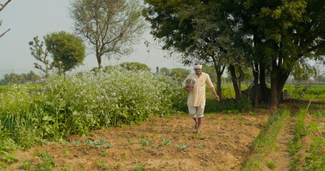 Indian old age senior man walking hold bucket do fertilizing work outdoor farmland asian gen x...