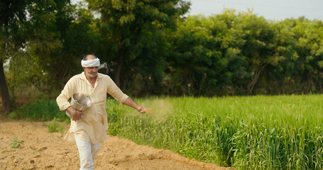 Indian old age senior man walking hold bucket do fertilizing work outdoor farmland asian gen x...
