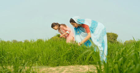 Indian young adult farmer woman lady with teen age girl working cleaning grass leaf outdoor Asian...