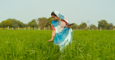 Indian gen x adult farmer woman lady wear saree standing outdoor farmland holding tab device...