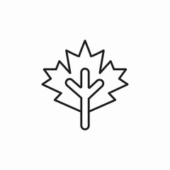 maple leaf icon sign vector