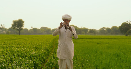 Indian farmer man standing hold wooden flute playing woodwind music outdoor farmland old aged...
