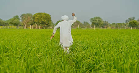 Indian old aged farmer man dancing alone in farmland asian happy older elder male wear white clothes enjoy outdoor day time	