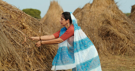Indian gen x adult villager woman lady wear saree standing collecting dry grass outdoor asian...
