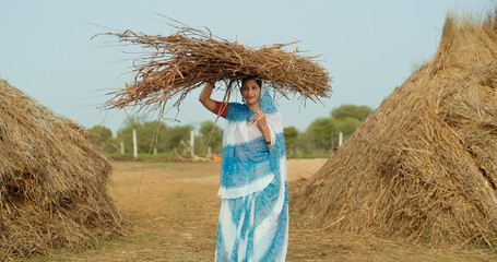 Indian gen x adult villager woman lady wear saree standing looking at camera carrying dry grass on...
