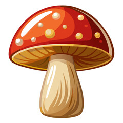 Mushroom Isolated On White Background
