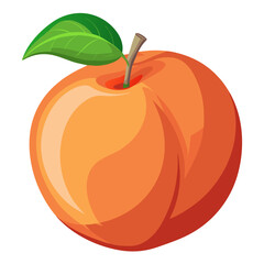 Peach Isolated On White Background
