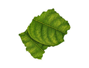 Lesotho Map Made Of Green Leaves On Soil Background Ecology Concept 3d Illustration