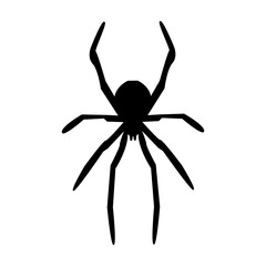 Spider icon