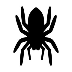 Spider icon