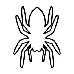 Spider icon
