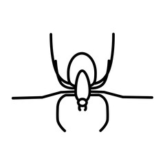 Spider icon