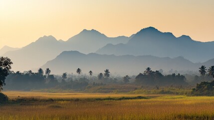 Obraz premium Serene Sunrise over Misty Mountains and Golden Fields