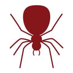 Obraz premium Spider icon