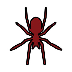 Spider icon