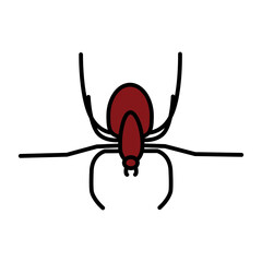 Spider icon