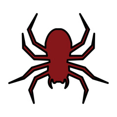 Spider icon