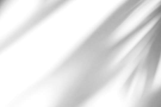 shadow overlay effects of realistic abstract natural tree leaves shadow on white wall background,Summer sunlight and shadow overlay effect,shadow for photo interior backdrop studio mockup