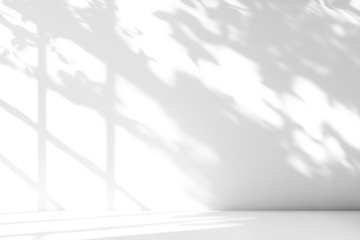 shadow overlay effects of realistic window and tree branch shadow with light blur on transparent backgr,Summer sunlight and shadow overlay effect,shade for photo interior backdrop studio mockup design