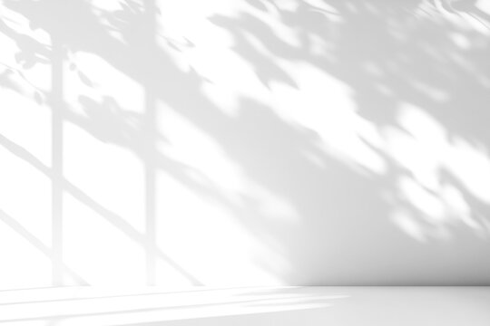 shadow overlay effects of realistic window and tree branch shadow with light blur on transparent backgr,Summer sunlight and shadow overlay effect,shade for photo interior backdrop studio mockup design