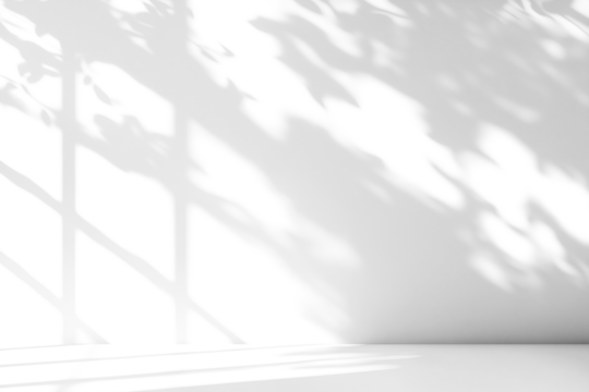 shadow overlay effects of realistic window and tree branch shadow with light blur on transparent backgr,Summer sunlight and shadow overlay effect,shade for photo interior backdrop studio mockup design