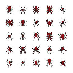 Spider icon