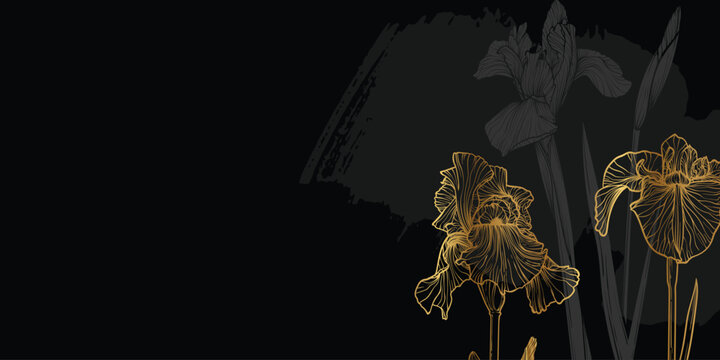 Abstract floral background with golden iris flowers and leaves. Hand drawn line art iris with sketch frame, border. Vector design of card, banner, invitation, advertising and packaging
