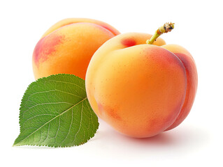 Apricot.	