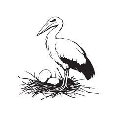 Vector illustration of a stork laying eggs in its nest, capturing the natural and nurturing behavior of this elegant bird isolated on white background.