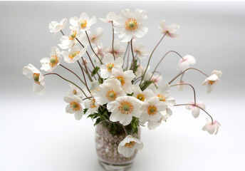 
Bouquet of white spring anemones. Anemones stand in a vase on a white background close-up . Anemone sylvestris (snowdrop anemone, windflower) in sunlight. Selective focus.