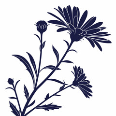 black and white asters