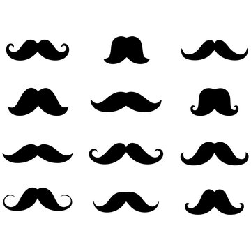 Bigodes