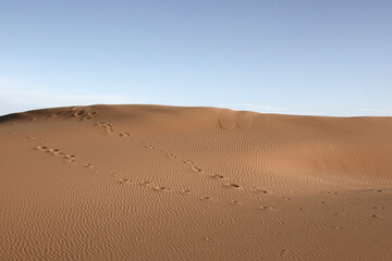 Sand hills, waves and footprints in the sand, Sahara dunes, Morocco
