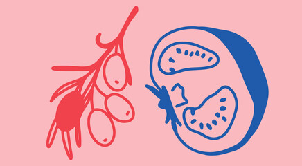 Still life fruits Line drawing	
