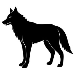 wolf vector illustration