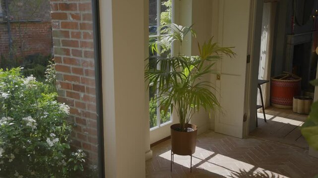 A plant sits in a pot in a room with a brick wall. The plant is a palm tree and is in a window sill