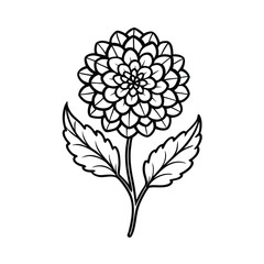 vector illustration of a flower
