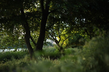The Gentle Touch of Autumn Sunlight