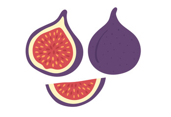 vector illustration of fruit