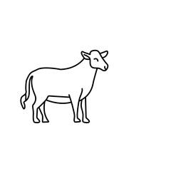 cow vector illustration