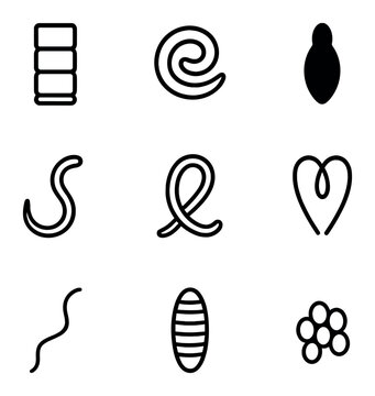 Parasitic Worm Icons. Outline icon set of parasitic worm types: tapeworm segments, roundworm coil, fluke silhouette, hookworm