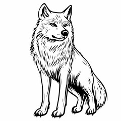 Wolf cartoon sitting with focused eyes and fur detail